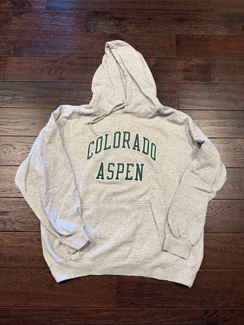Brandy Melville Colorado Aspen Gray Hooded Sweatshirt